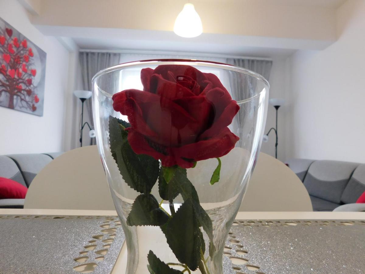 Apartamenty Niko Zator Εξωτερικό φωτογραφία